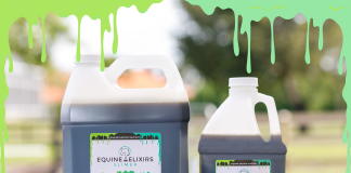 It’s Slime Time