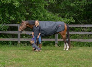EquiSol: Jackie Jolie Harnesses Light For Improving Health and Performance