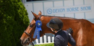 The Plaidchat: April and May/June Issues of The Plaid Horse Magazine & Adelle Alletto Plaidchat Marley Lien-Gonzalez Adelle Alletto
