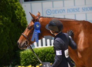 The Plaidchat: April and May/June Issues of The Plaid Horse Magazine & Adelle Alletto Plaidchat Marley Lien-Gonzalez Adelle Alletto