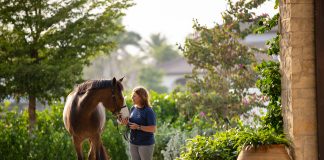 HorseGrooms: Elevating the Grooming Profession Through Education and Community