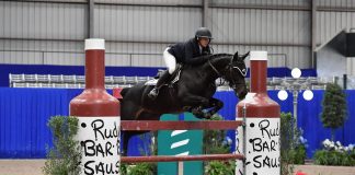 T-Quick Hurricane Z and Allison Kroff Storm to Second Consecutive Victory at Pin Oak Charity Horse Show