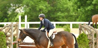 Special Episode: Piper Klemm on The Centaur Podcast The Centaur Podcast Piper Klemm