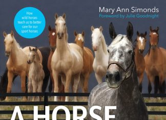 The Plaidchat: Author and Educator, Mary Ann Simonds Plaidchat Plaidcast Episode Mary Ann Simonds
