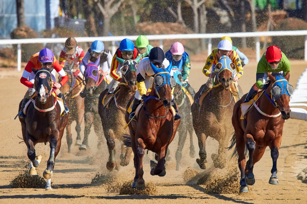 Watching the Prep Races: Key Insights into the 2025 Kentucky Derby ...