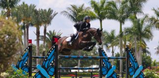 Myla and Kent Farrington Sail to Win in Arthramid Vet CSI3* Qualifier During Spring Series at Wellington International