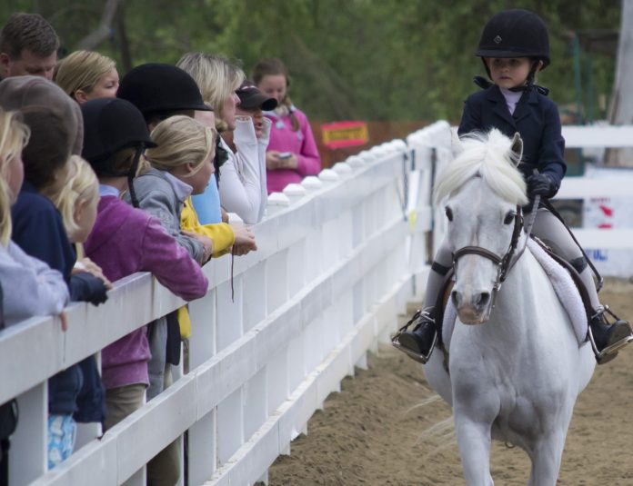 20120331_DelSolPony072