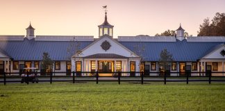 Timeless Beauty Amid Rolling Hills