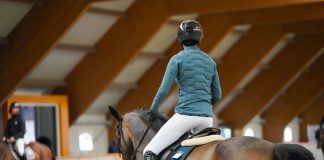 Your Equestrian Voice: The Most Important Voice in Your Riding
