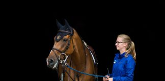 Building a Better Future: Why Grooms Are Vital to Protecting the Future of Horse Sport