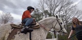Finding My Voice, Finding Theirs: Why I Founded Speaking of Horses