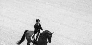 Is it Just About the Bridle? Rebuilding Trust, Wellbeing, and the Future of Dressage Sport