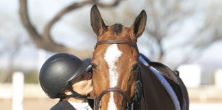 A Tribute to My Horses