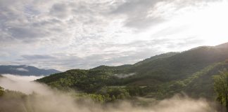 Balsam Mountain Preserve Welcomes Allison Macke as New Merchandiser
