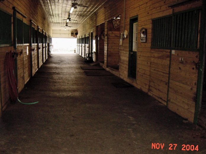 image2 (1)