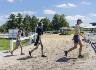 The Plaidchat: Sonja Ochadlik on Equine Education Plaidchat Sonja Ochadlik