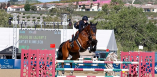 Shylee Elimelech Wins April’s Show Jumping Hall of Fame Rider of the Month Award