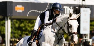 Stephex Team Brings the European Youth Jumping Championships to Belgium in 2027