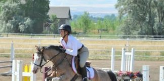How One Free Pony Taught Me Grace and Grit