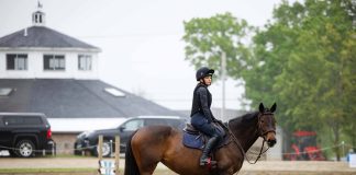 How EFT Helped Me Ride Again – And Inspired a Whole New Way to Help Equestrians Heal