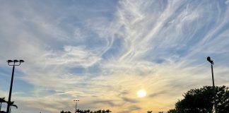 The Impact of Tariffs on the Equestrian Industry
