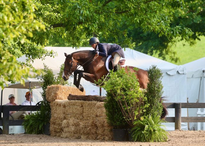 Lafitte de Muze Rebecca Walton Photo