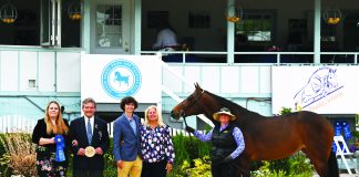 A Developing Sport: Missy Jo Hollingsworth’s Saddle Lake Equestrian Center