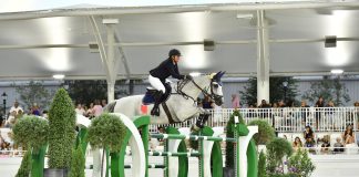 Redefining Success Beyond the Show Ring