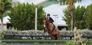 How Horse Show Culture Has Changed (and why it’s worth preserving)