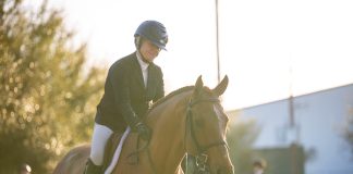 What Horses Teach Us About Showing Up in Life