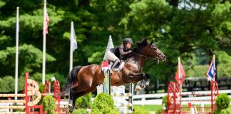 AI in the Barn: Where is Technology Taking the Horse Industry?