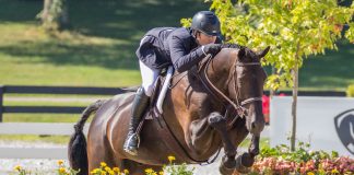 Mental Resilience in the Hunter Ring