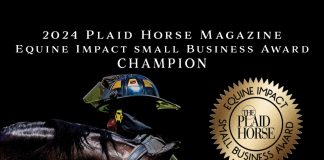 The Plaidchat: FireHorse Rescue Kits Founder Holly Johnson Plaidchat Episode FireHorse Rescue Kits Holly Johnson