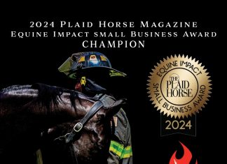 The Plaidchat: FireHorse Rescue Kits Founder Holly Johnson Plaidchat Episode FireHorse Rescue Kits Holly Johnson