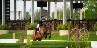 On HH Elmo Nick Haness Continues Winning Streak in $10,000 USHJA National Hunter Derby