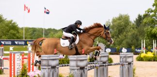 Jackofhearts and Margie Goldstein-Engle Master $32,000 CSI4* Two-Phase in Traverse City