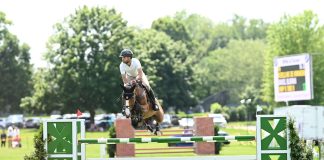 Bluman Makes it a Double at Fairfield June Show