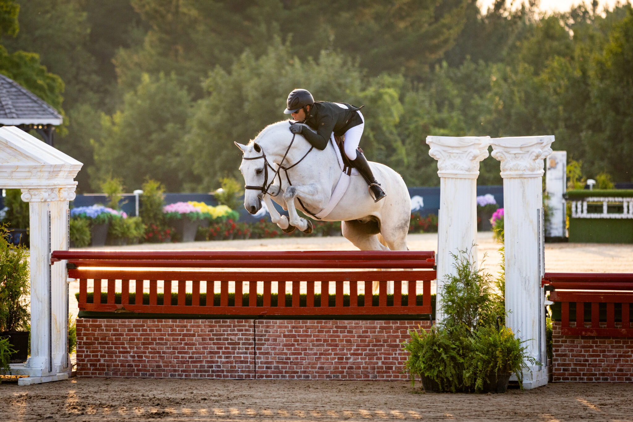 Cavaletto Loma Z and Nick Haness Win $25,000 Platinum