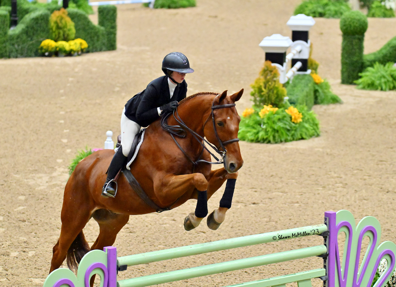 Trainer Tuesday: What preparation can riders begin doing now for fall finals and the Indoors show season?&nbsp;