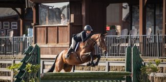 Rising American-Born Hunter Oslo MK and Owner Elizabeth DeGolian Look Ahead To Incentive Finals
