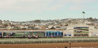 How Technology is Expanding Betting Options in Horse Racing