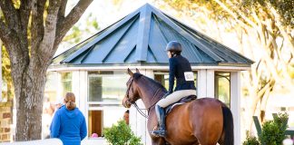 Why Horse Show Volunteers Matter More Than Ever