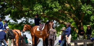 Why Knowing Your Riders Is the First Step to Great Coaching