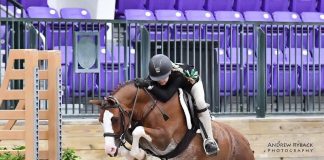 Serendipity and Small Strides: The Making of a Pony Finals Team