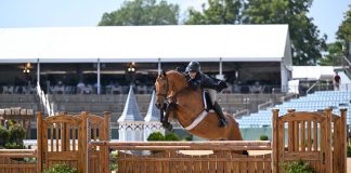 Dicoblue PS and Victoria Colvin Dominate Platinum Performance/USHJA International Hunter Derby Championship Classic Round