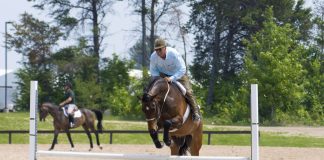 Trainer Tuesday: How do you train a horse who is confused by or doesn’t know how to chip or jump from a short distance?