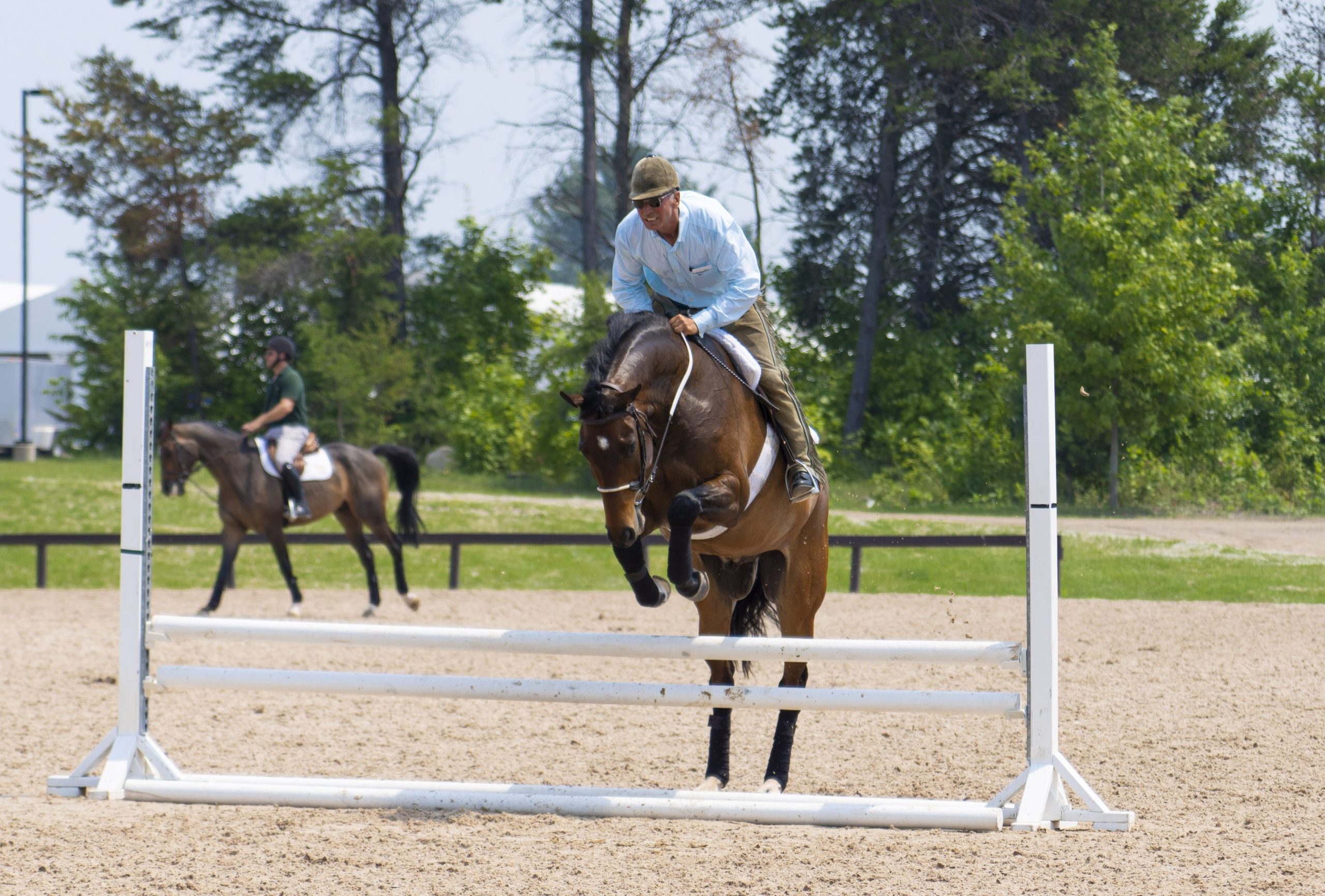 Trainer Tuesday: How do you train a horse who is confused by or doesn't ...