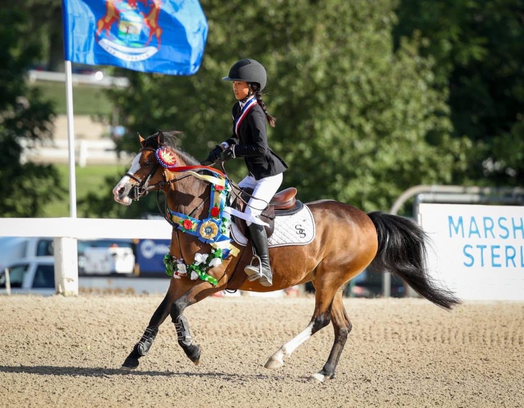 Meet Ka-chow: The Internet’s Favorite Pint-Sized Speedy Pony Jumper ...