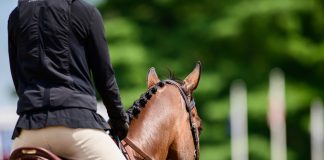 Rider Safety, Air Vests, and the Kevin Babington Foundation