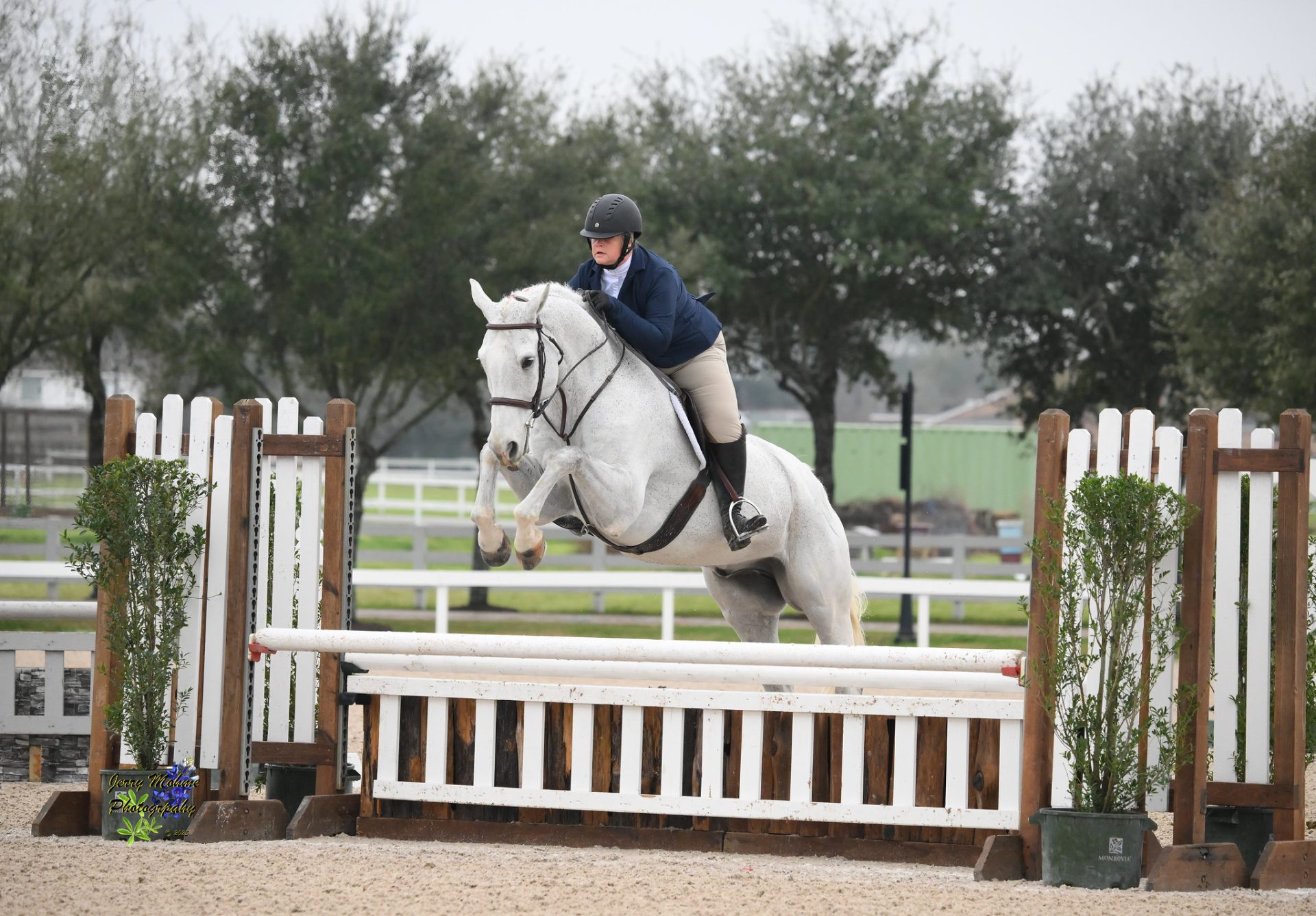 I Quit the Career I Chose to Pay for Horses - The Plaid Horse Magazine